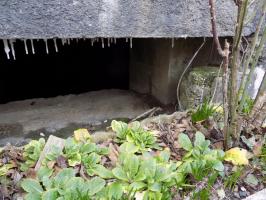 Ligne Maginot - 220 - WADELINCOURT NORD-EST - (Blockhaus pour canon) - L'entrée AC, bloqué avec du béton