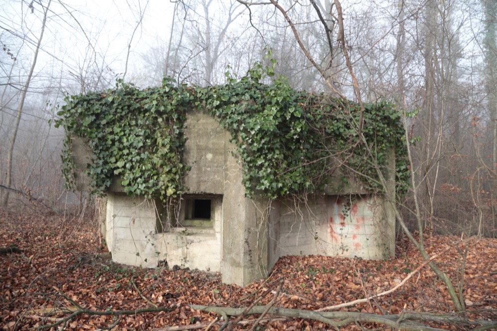 Ligne Maginot - KUEHNENSAND SUD - (Blockhaus pour arme infanterie) -  - Les Gardiens du Rhin