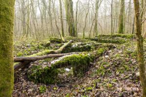 Ligne Maginot - PC du Bois Lagrange - 