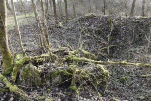 Ligne Maginot - G32 - MUHLWINKEL NORD - (Blockhaus pour arme infanterie) - tranchée et abri arrière du blockhaus