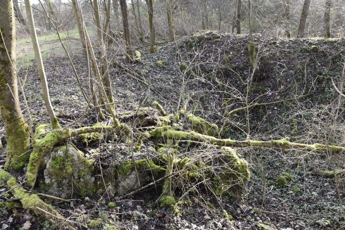 Ligne Maginot - G32 - MUHLWINKEL NORD - (Blockhaus pour arme infanterie) - tranchée et abri arrière du blockhaus
