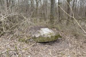 Ligne Maginot - BOIS DE DESSENHEIM CENTRE 1 - (Blockhaus pour arme infanterie) - Coupole