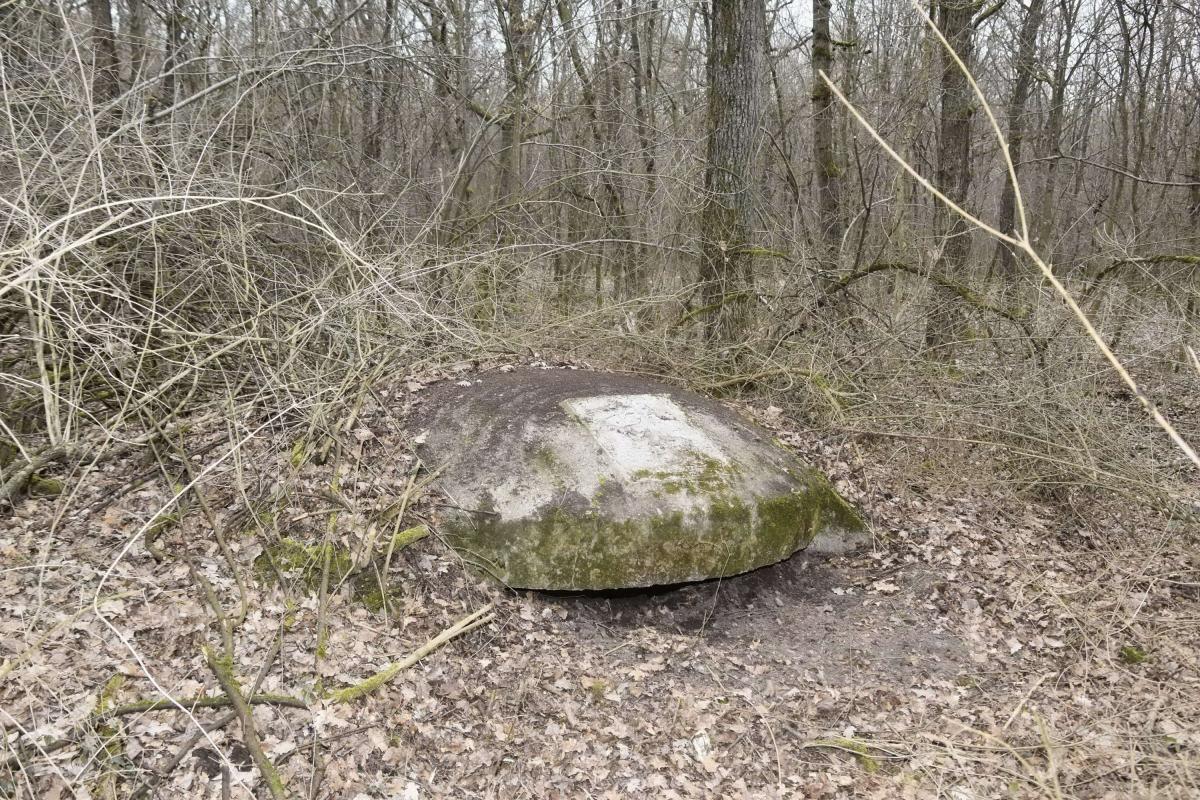 Ligne Maginot - BOIS DE DESSENHEIM CENTRE 1 - (Blockhaus pour arme infanterie) - Coupole