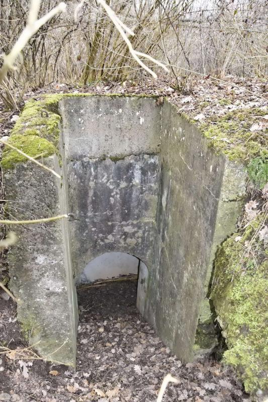 Ligne Maginot - OBERWALD SUD EST 3 - (Blockhaus pour arme infanterie) - Entrée