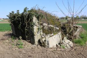 Ligne Maginot - GROSSE SOELGEL - (Blockhaus de type indéterminé) - Les ruines du blockhaus.
