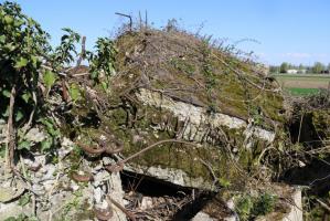 Ligne Maginot - GROSSE SOELGEL - (Blockhaus de type indéterminé) - Les ruines du blockhaus.