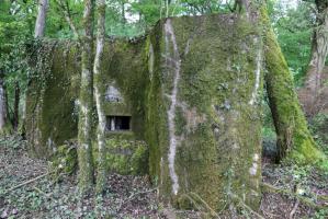 Ligne Maginot - CB422 - HART EST - (Blockhaus pour arme infanterie) - 