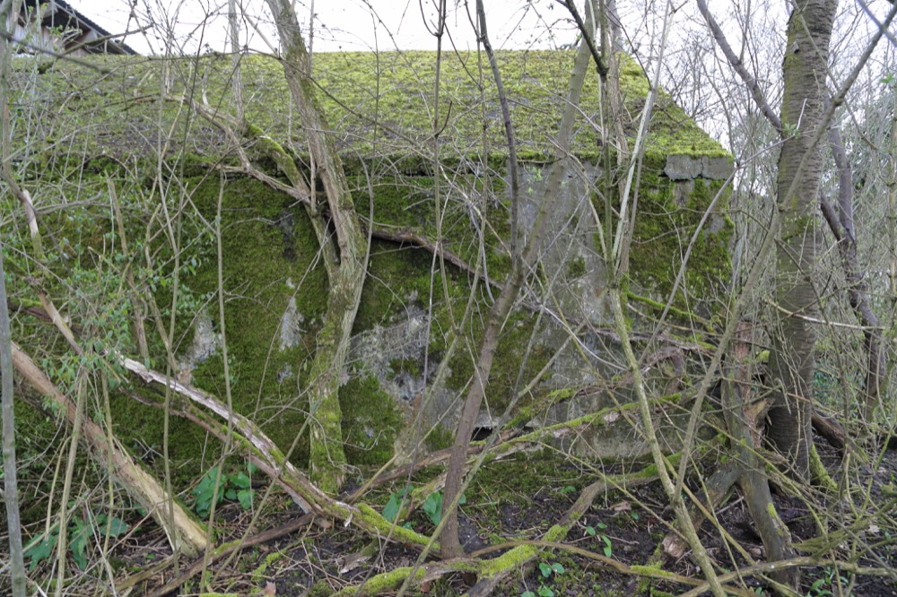 Ligne Maginot - GERSTHEIM 3 (TêTE DE PONT DE ) - (Blockhaus pour arme infanterie) - La façade arrière ou donnait les deux entrées maintenant obturées.