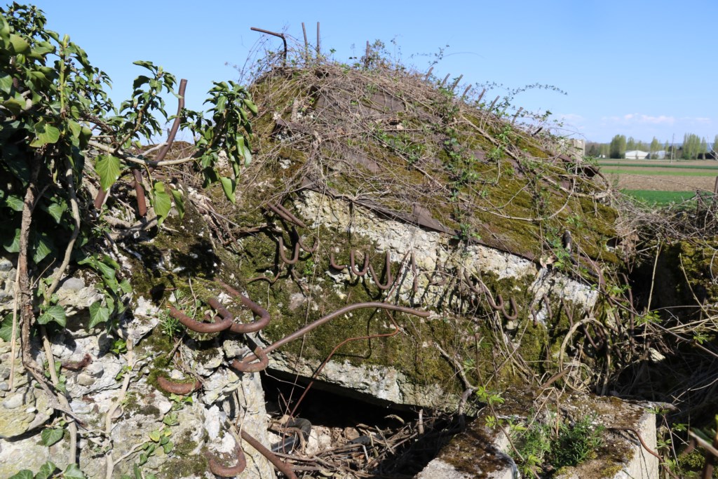 Ligne Maginot - GROSSE SOELGEL - (Blockhaus de type indéterminé) - Les ruines du blockhaus.