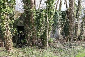 Ligne Maginot - JEBSHEIM 5 - (Abri) - 