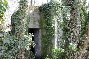 Ligne Maginot - JEBSHEIM 5 - (Abri) - 
