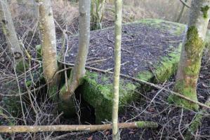 Ligne Maginot - Cuve SCHWANDELWALD 3 - Cuve à gauche