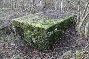Ligne Maginot - Cuve SCHWANDELWALD 3 - Abri contigu