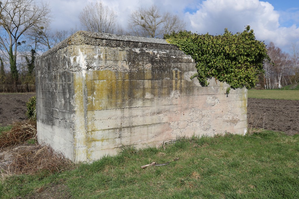 Ligne Maginot - JEBSHEIM 2 - (Abri) -  - Alain Perouffe