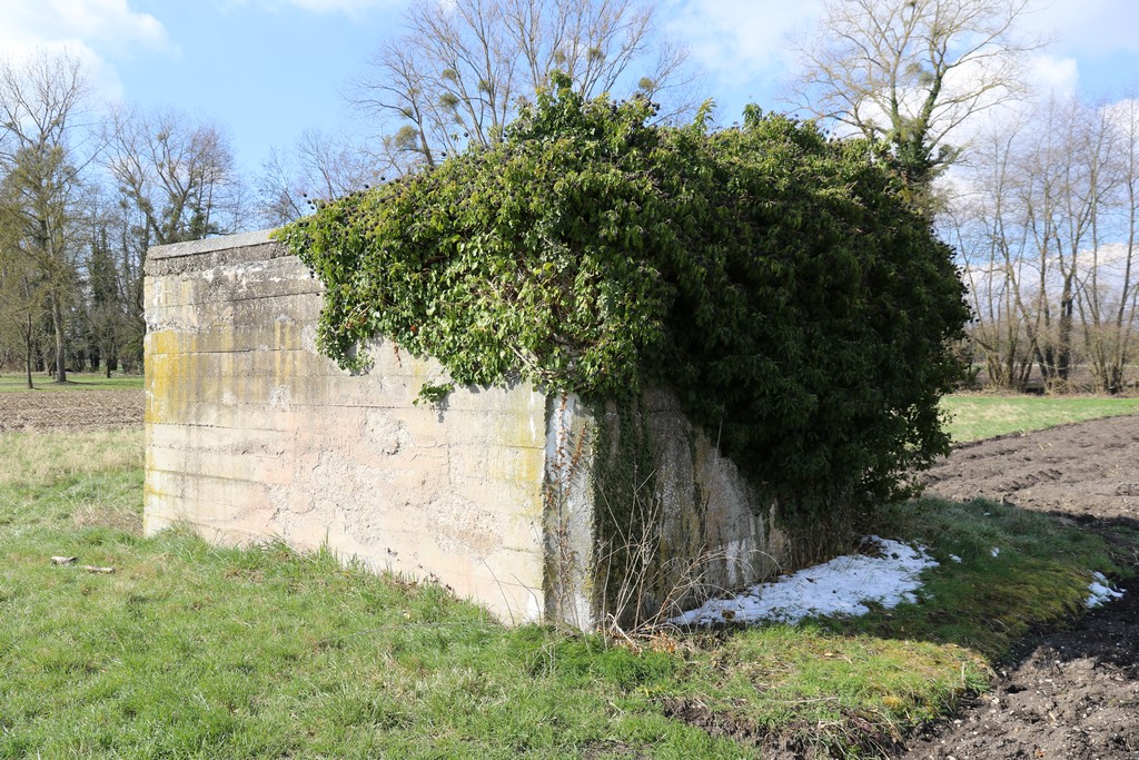 Ligne Maginot - JEBSHEIM 2 - (Abri) -  - Alain Perouffe
