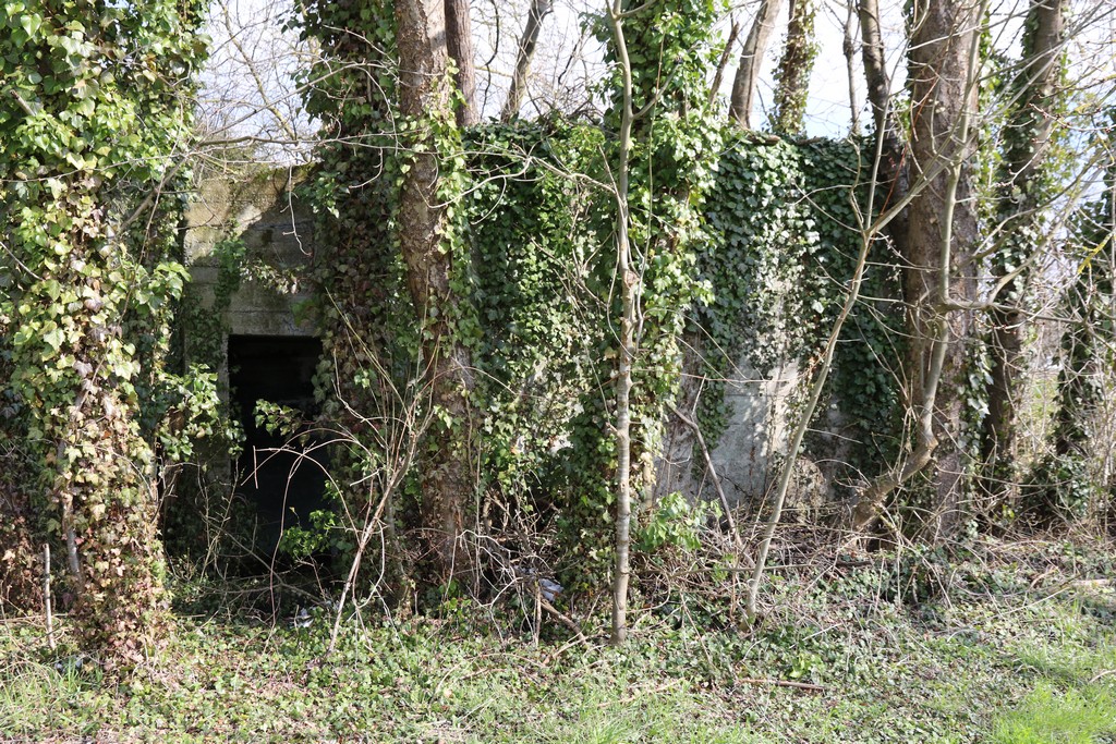 Ligne Maginot - JEBSHEIM 5 - (Abri) - 