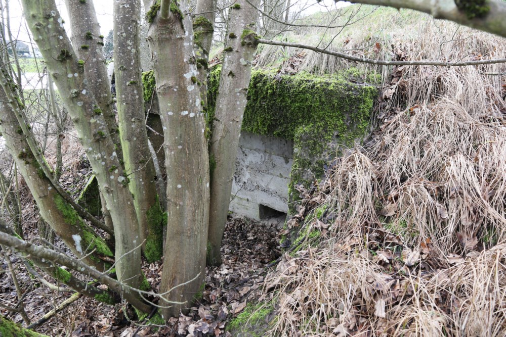 Ligne Maginot - SARRALBE CANAL 3 - (Blockhaus pour arme infanterie) -  - Alain Perouffe