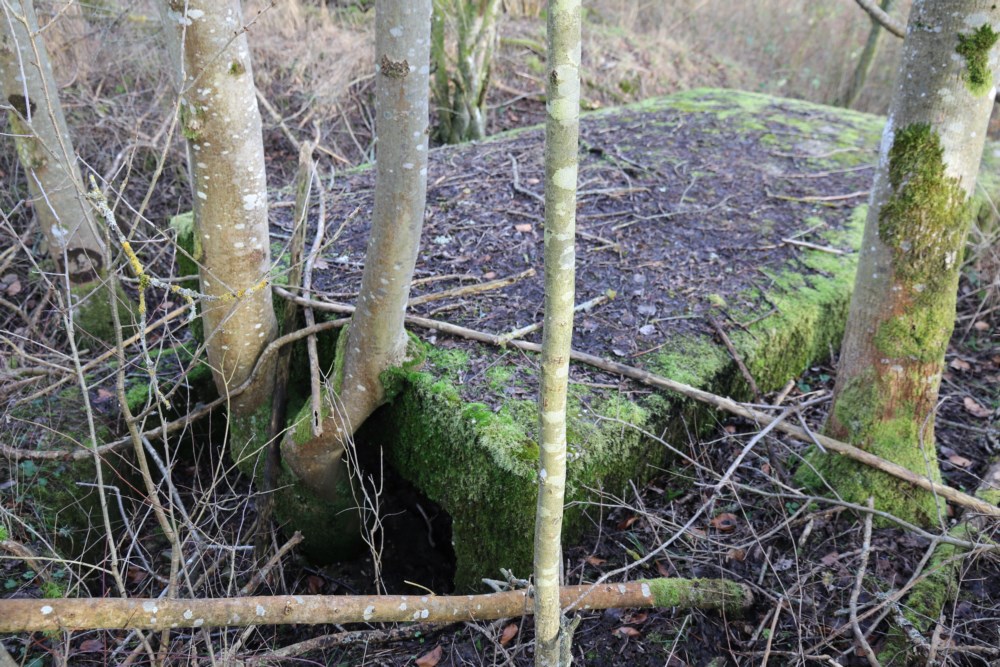 Ligne Maginot - Cuve SCHWANDELWALD 3 - Cuve à gauche