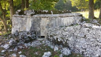 Ligne Maginot - GRANGES MICHEL - (Blockhaus pour arme infanterie) - Bloc vu de l'avant.
Un soin particulier est apporté à son intégration dans le paysage par le choix de son emplacement dans un amas rocheux