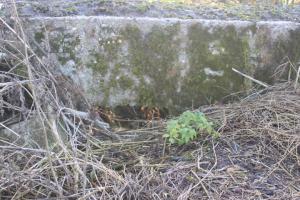 Ligne Maginot - RODENBERG 2 - (Blockhaus pour arme infanterie) - 