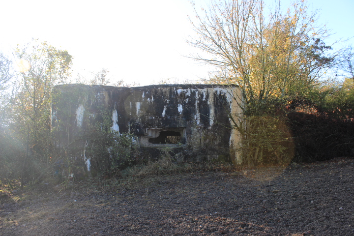 Ligne Maginot - BIDING EST 1 - (Blockhaus de type indeterminé) -      