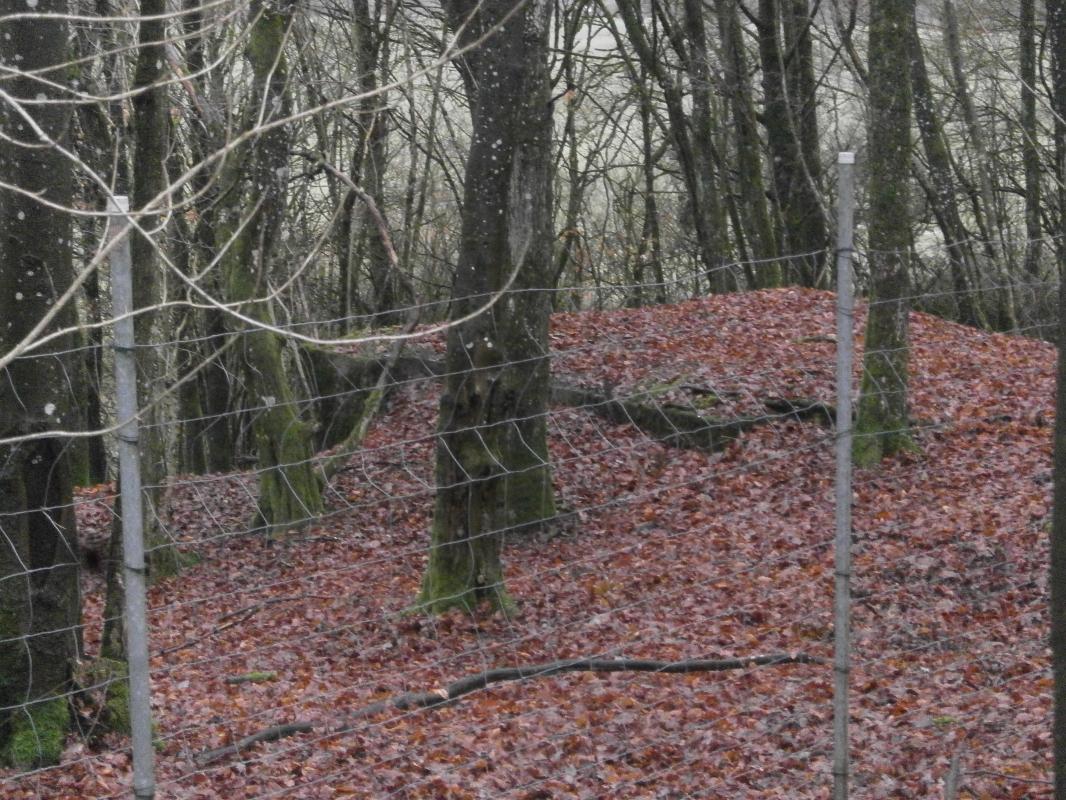 Ligne Maginot - HART CENTRE 2 - (Observatoire indeterminé) - Le bloc n'est plus approchable pour cause de cloture