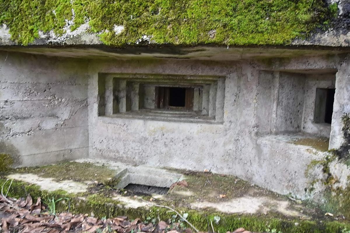 Ligne Maginot - PA DE SIERENTZ OUEST 2 - (Blockhaus pour arme infanterie) - Les  créneaux de tir, à gauche pour mitrailleuse, à droite pour FM - Daniel Froehly