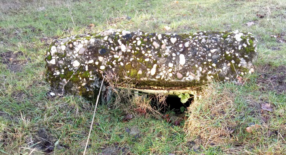 Ligne Maginot - MISTBERG 4 (Observatoire d'infanterie) - La partie métallique est disparu - jin jac