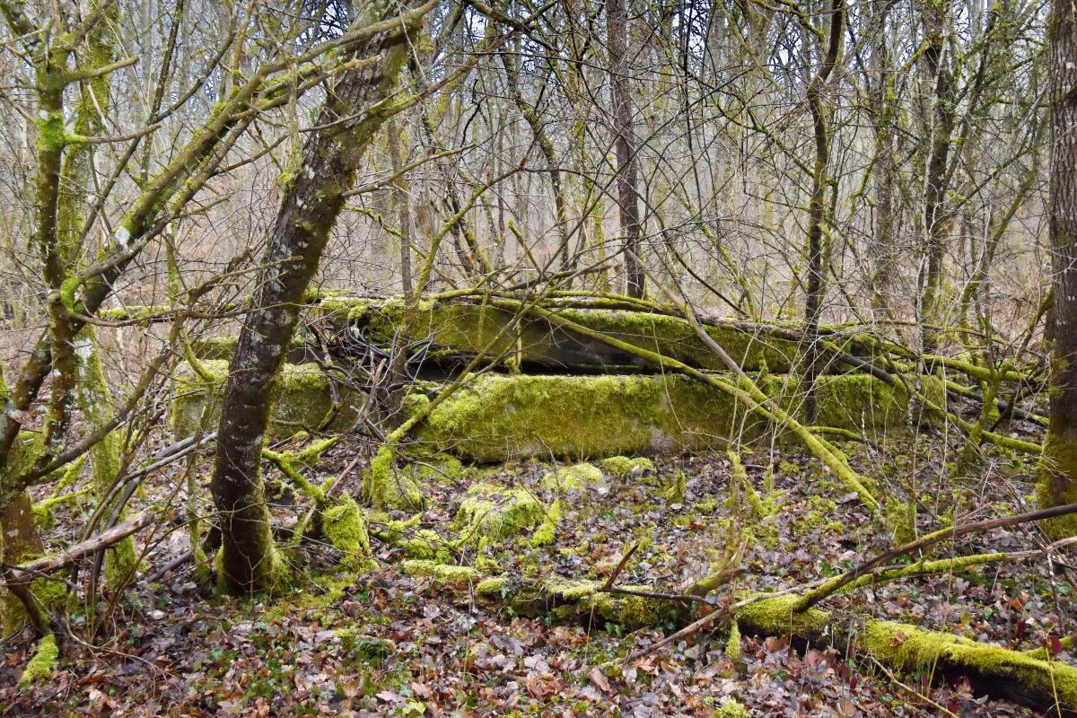 Ligne Maginot - REININGUE - (Dépôt de Munitions) - Reste de bâtiment (B)