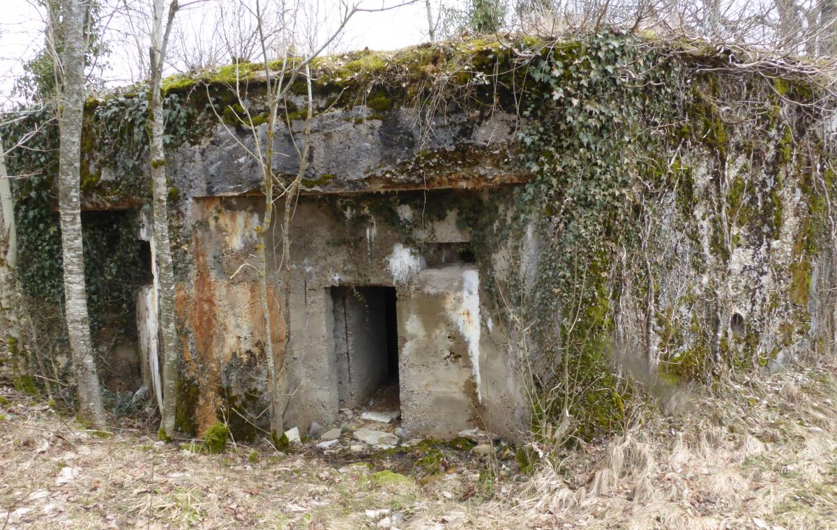 Ligne Maginot - LES CHAZEAUX EST - (Blockhaus de type indeterminé) -     - François VILLARS