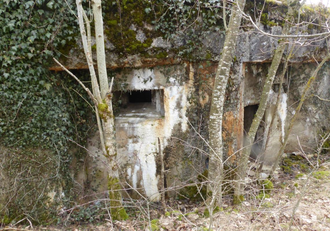 Ligne Maginot - LES CHAZEAUX EST - (Blockhaus de type indeterminé) -      - François VILLARS
