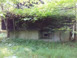 Ligne Maginot - SELTZBACH 6 - (Blockhaus pour arme infanterie) - Façade chambre de tir mitrailleuse