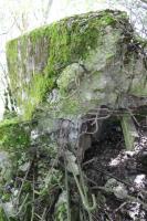Ligne Maginot - BUTENHEIM SUD - (Blockhaus pour arme infanterie) - Chambre de tir Nord
