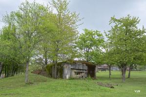 Ligne Maginot - M16 - NEHWILLER - (Blockhaus pour arme infanterie) -                       