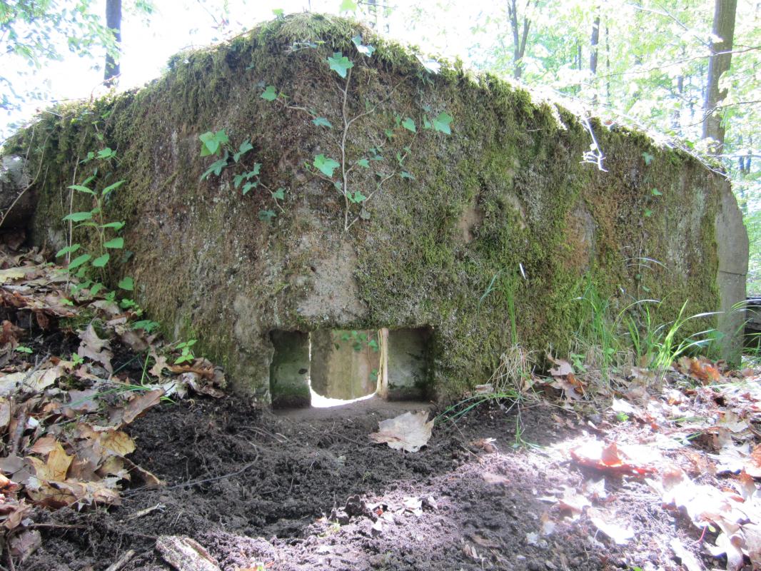 Ligne Maginot - KLOSTERGRABEN 1 - (Blockhaus pour arme infanterie) - Créneau dans le coin de l'accès bétonné - gregfuchs