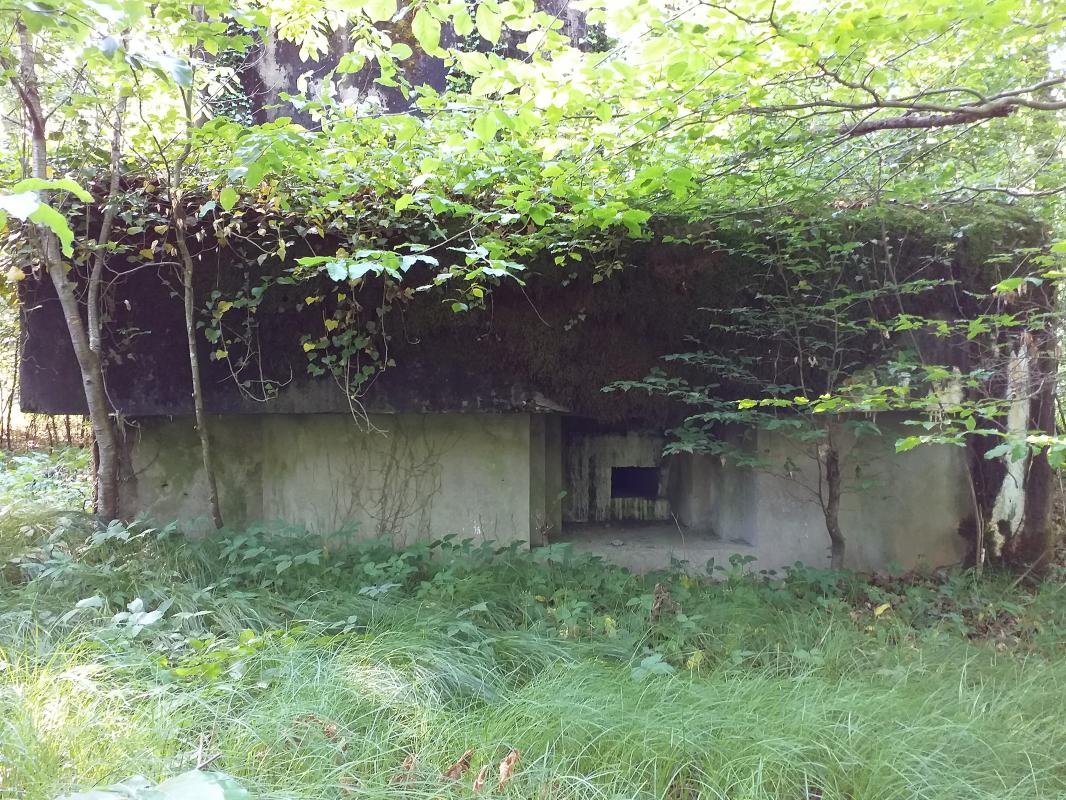 Ligne Maginot - SELTZBACH 6 - (Blockhaus pour arme infanterie) - Façade chambre de tir mitrailleuse