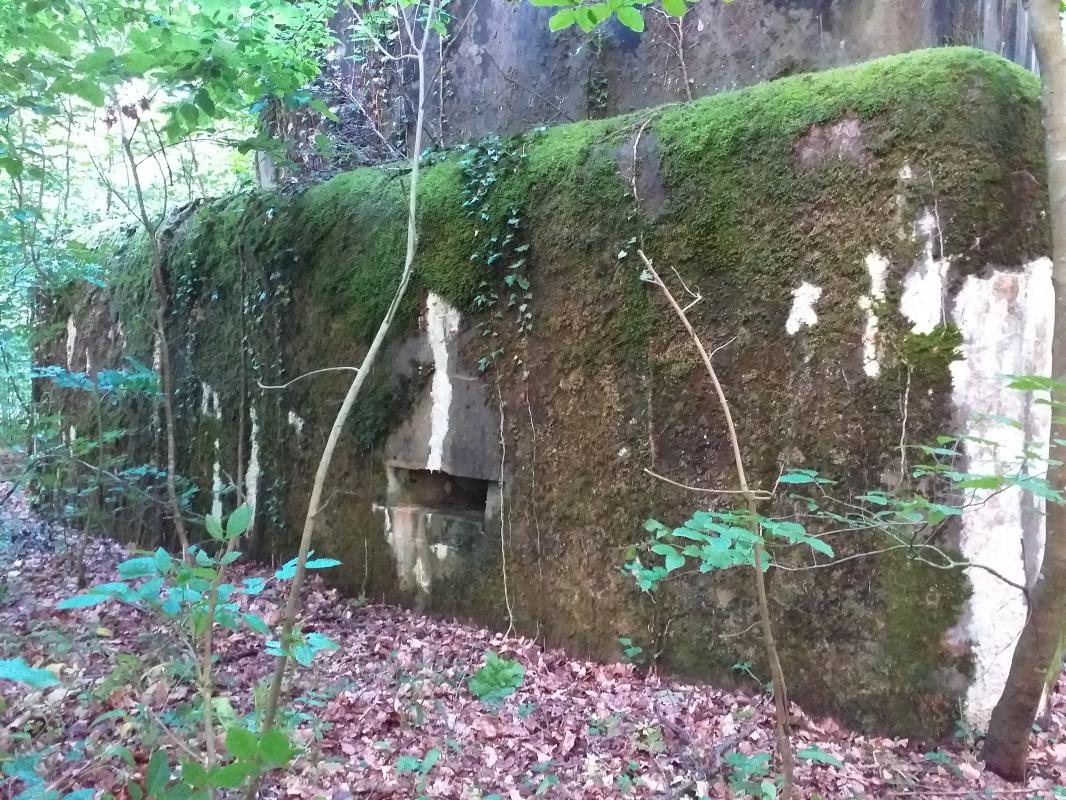 Ligne Maginot - SELTZBACH 6 - (Blockhaus pour arme infanterie) - Façade gauche avec créneau supplémentaire