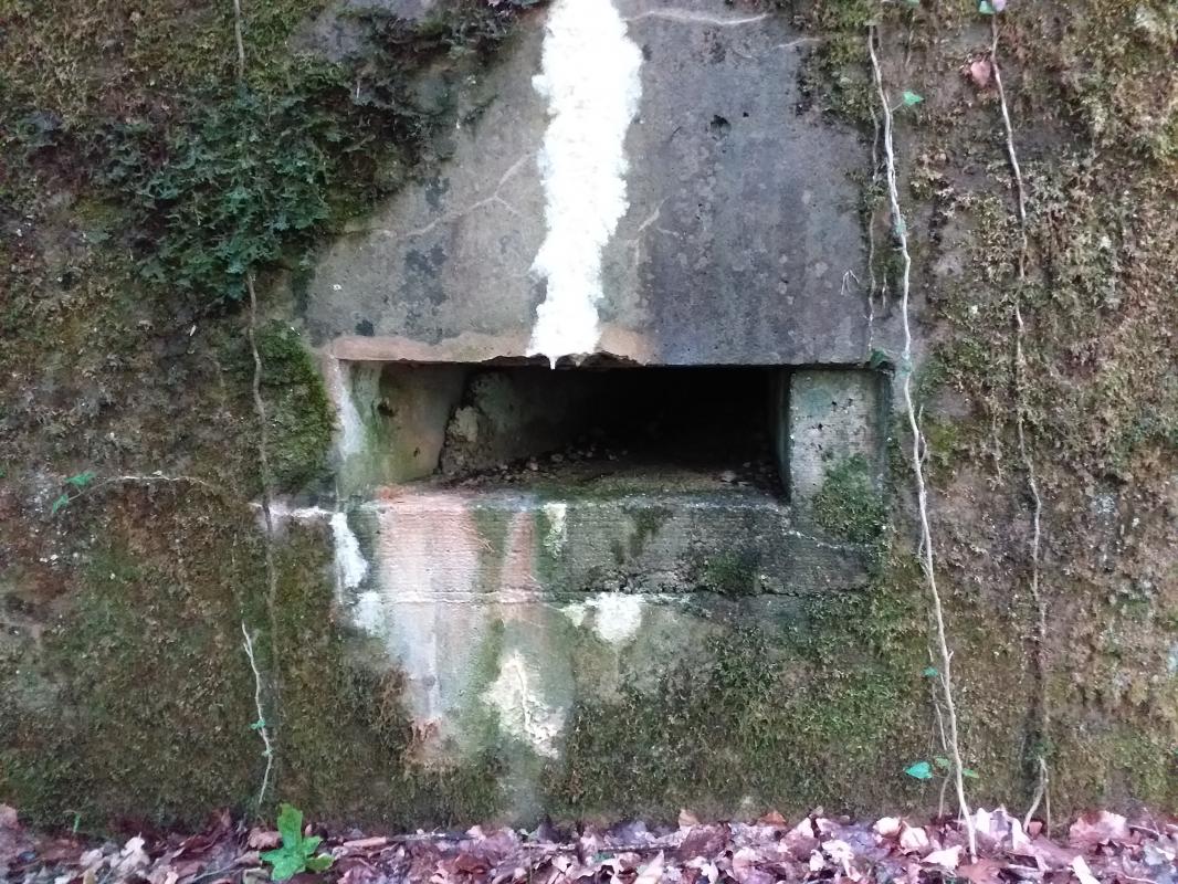 Ligne Maginot - SELTZBACH 6 - (Blockhaus pour arme infanterie) - Créneau supplémentaire - détail de la 'réduction'