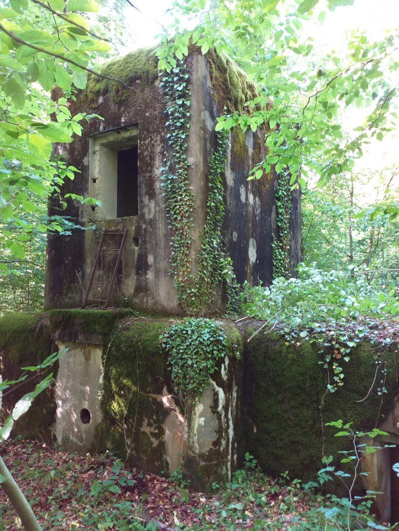 Ligne Maginot - SELTZBACH 6 - (Blockhaus pour arme infanterie) - L'entrée de la tour pour FM