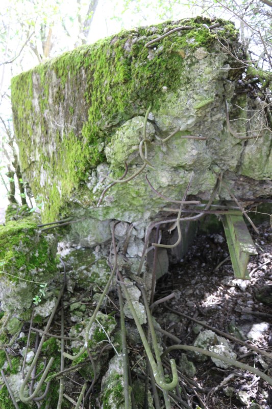 Ligne Maginot - BUTENHEIM SUD - (Blockhaus pour arme infanterie) - Chambre de tir Nord
