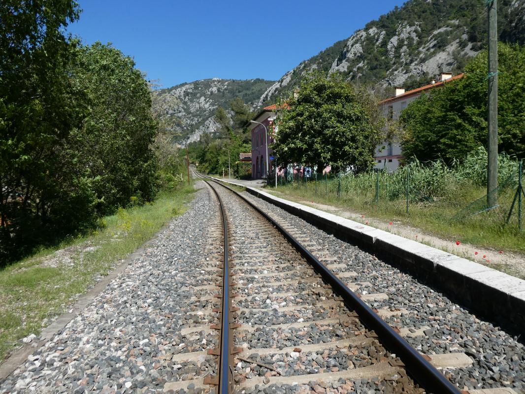 Ligne Maginot - PEILLON - SAINTE THECLE (7°BIE/III°GRPE/372°RALVF) - (Position ALVF) -  - ELLENA - CUNY