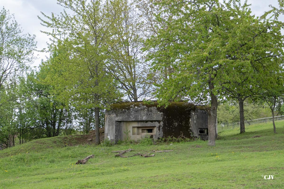 Ligne Maginot - M16 - NEHWILLER - (Blockhaus pour arme infanterie) -                         - Lia VERMEULEN
