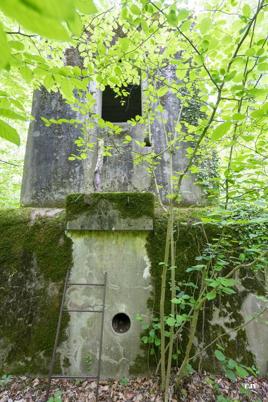 Ligne Maginot - SELTZBACH 6 - (Blockhaus pour arme infanterie) -        
