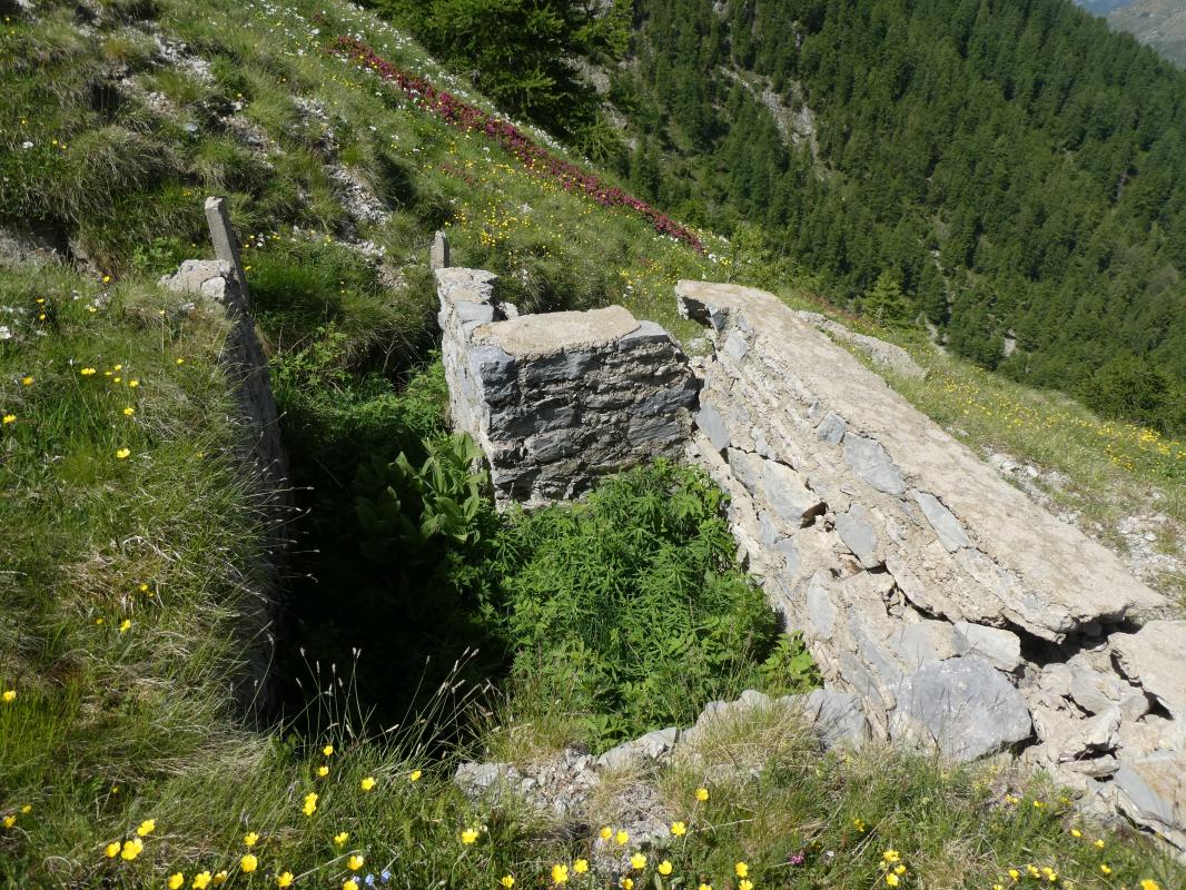 Ligne Maginot - COL DE RAUS - C3 - (Cuve pour arme d'infanterie) - 