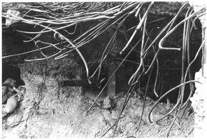 Ligne Maginot - WELSCHHOF - (Ouvrage d'infanterie) - Bloc 1
Le créneau du canon de 47mm de l'entrée de l'ouvrage après les combats