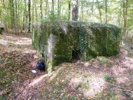 Ligne Maginot - CB443 - BOIS KARRE 7 - (Blockhaus pour arme infanterie) - 