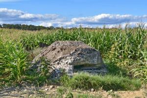 Ligne Maginot - VALDIEU-LUTRAN 4 - (Blockhaus pour arme infanterie) - La coupole