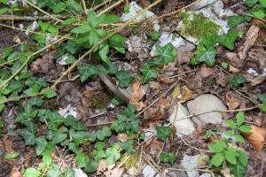Ligne Maginot - BRIGGMATTEN BERGE SUD - (Blockhaus pour arme infanterie) -   Exemple de gravats et ferraille 