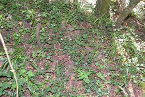 Ligne Maginot - BRIGGMATTEN BERGE SUD - (Blockhaus pour arme infanterie) - Piquet pour barbelé