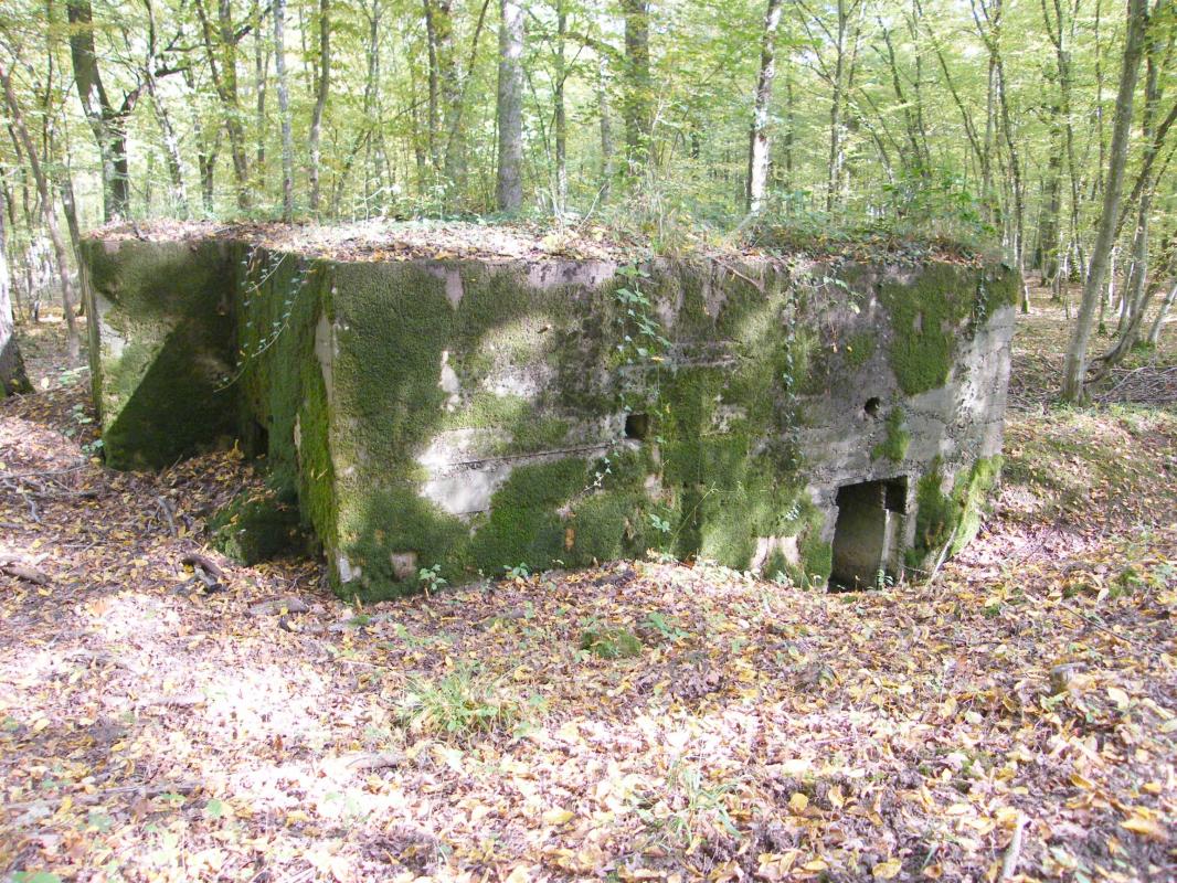 Ligne Maginot - CB443 - BOIS KARRE 7 - (Blockhaus pour arme infanterie) - Créneau mitrailleuse et entrée